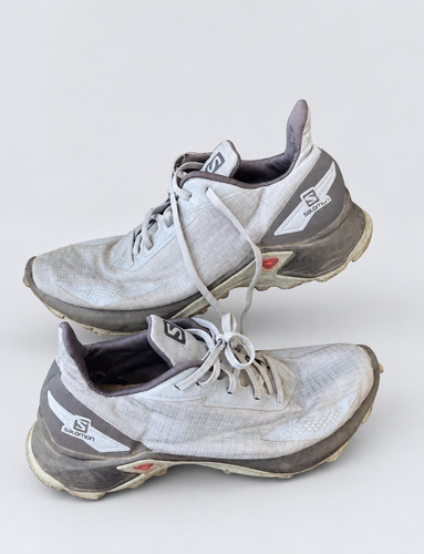 Salomon alphacross blast - alphacross,